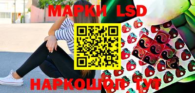 индика Кунгур