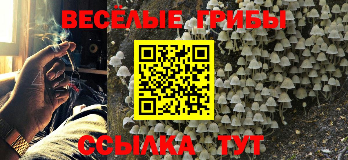 Галлюциногенные грибы GOLDEN TEACHER  Вход с VPN  Чапаевск 